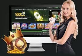 811bet